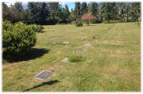 Burial plots in a small cemetery